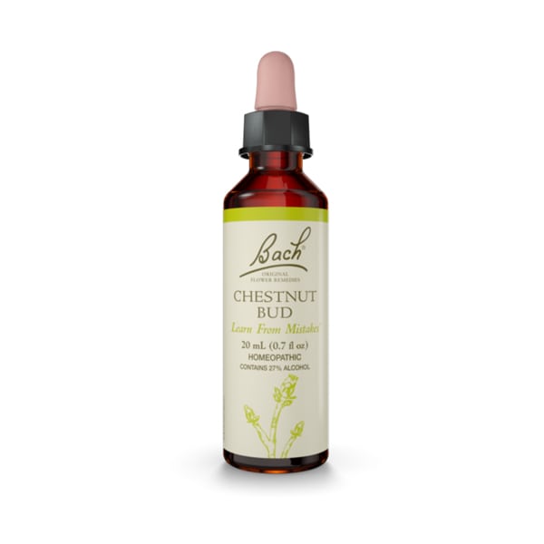 Bach Chestnut Bud 20 ml