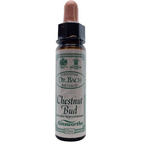 Ainsworths Bach Chestnut Bud 10 ml
