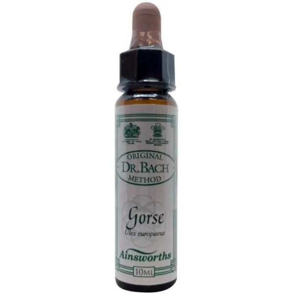 Ainsworths Bach Gorse 10 ml