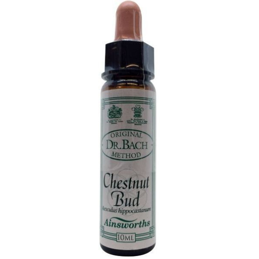 Ainsworths Bach Chestnut Bud  10 ml
