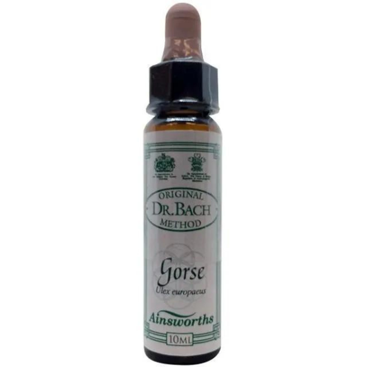 Ainsworths Bach Gorse  10 ml