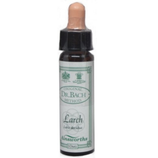 Ainsworths Bach Larch  10 ml