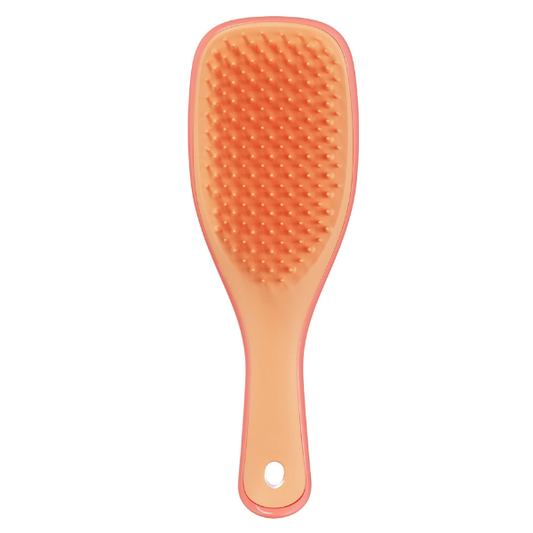Tangle Teezer Wet Detangling Hairbrush Travel Size  1 copë