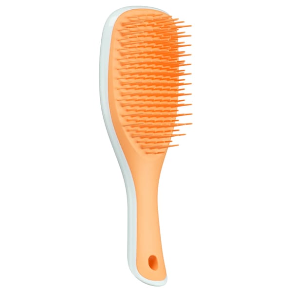 Tangle Teezer Detangling Mini Hairbrush  1 copë - Blu akulli dhe portokalli e ëmbël