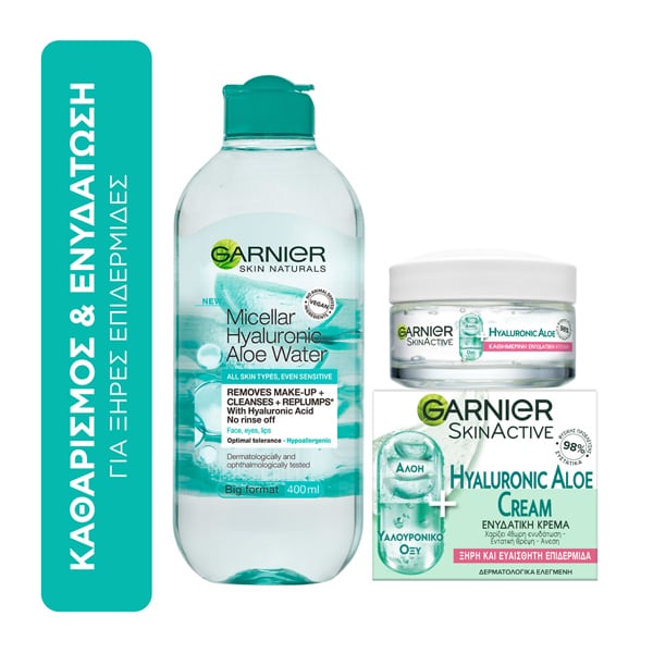 Garnier Cleansing & Hydration Set for Dry Skin with Micellar Hyaluronic Aloe Water, 400ml & Botanical Day Cream with Aloe Vera Normal/Combination Skin, 50ml  1 set