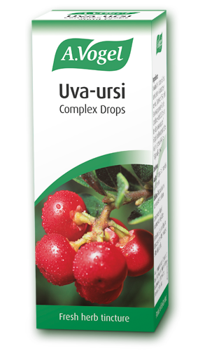 A. Vogel Uva-Ursi Gooseberry & Echinacea Tincture Ideal for Urinary Tract Infections  50 ml